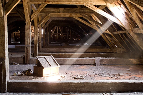 Attic Cleaning